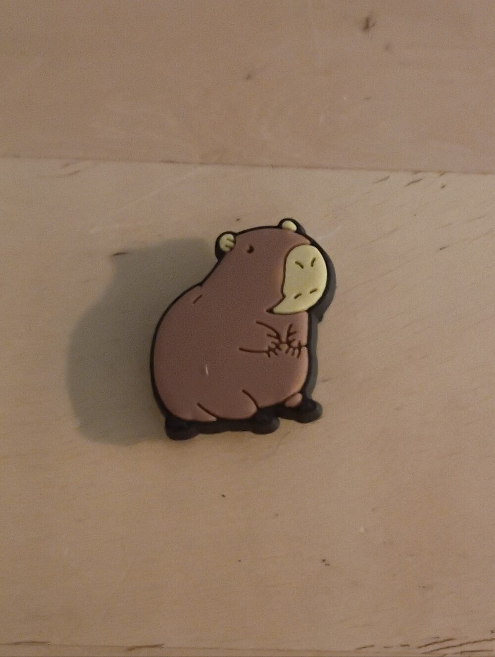 10 for $10 Jibbitz Croc Charms - Capybara - New Shoe Charms